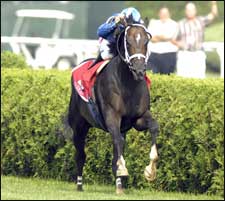 Shakis Sets Saratoga Course Mark in Baruch Win Shakis Sets Saratoga Course Mark in Baruch Win