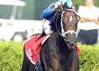 Shakis Primed to Shake Up Field in Shadwell Turf Mile