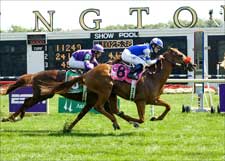 Shamdinan Sizzles in Secretariat Triumph Shamdinan Sizzles in Secretariat Triumph