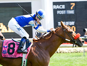 Shamdinan Tops San Juan Capistrano Cast Shamdinan Tops San Juan Capistrano Cast