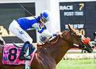 Shamdinan Tops San Juan Capistrano Cast