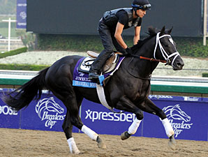 Shanghai Bobby Breezes 5F at Palm Meadows Shanghai Bobby Breezes 5F at Palm Meadows
