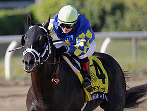 Big Three Ready for Florida Derby Showdown Big Three Ready for Florida Derby Showdown