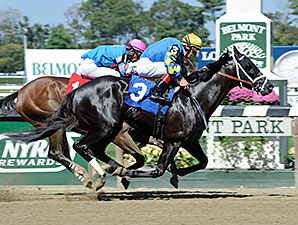 Shanghai Bobby Victorious in Belmont Return Shanghai Bobby Victorious in Belmont Return