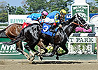 Shanghai Bobby Retired, to Stand at Ashford Shanghai Bobby Retired, to Stand at Ashford