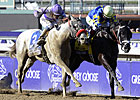 Gutty Shanghai Bobby Wraps Up Juvenile Honors