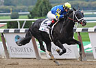 Shanghai Bobby Named Champion 2-Year-Old Male Shanghai Bobby Named Champion 2-Year-Old Male