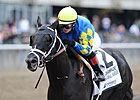 Featured Horse Profile: Shanghai Bobby Featured Horse Profile: Shanghai Bobby