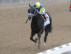 Shanghai Bobby Clear Leader Among 2YO Males Shanghai Bobby Clear Leader Among 2YO Males