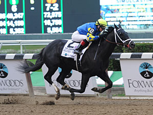 Shanghai Bobby Confirmed for BC Juvenile Shanghai Bobby Confirmed for BC Juvenile