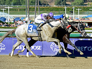 He's Had Enough Zips Six Furlongs in Company He's Had Enough Zips Six Furlongs in Company