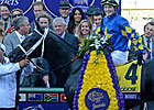 369 Horses Are Early Triple Crown Nominees 369 Horses Are Early Triple Crown Nominees