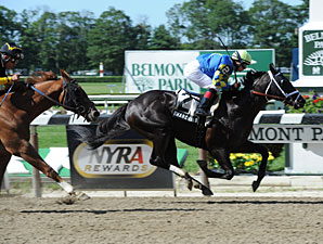 Shanghai Bobby Favored in Saratoga Special Shanghai Bobby Favored in Saratoga Special