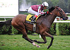 Shared Account Game in Lake Placid Victory Shared Account Game in Lake Placid Victory