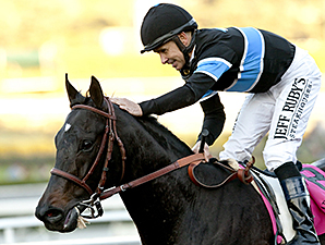 Shared Belief Dies After Colic Surgery