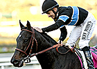 Shared Belief Dies After Colic Surgery