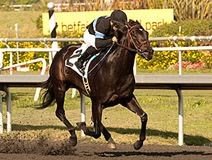 Shared Belief Works, Pointing for Lewis Shared Belief Works, Pointing for Lewis