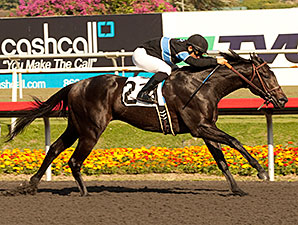 Shared Belief Misses Work with Popped Abscess Shared Belief Misses Work with Popped Abscess