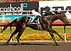 Shared Belief Confirmed Off KY Derby Trail Shared Belief Confirmed Off KY Derby Trail