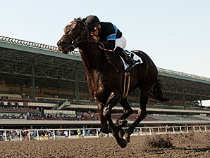 Champion Shared Belief Unlikely to Make Lewis Champion Shared Belief Unlikely to Make Lewis