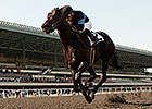 Champion Shared Belief Unlikely to Make Lewis Champion Shared Belief Unlikely to Make Lewis