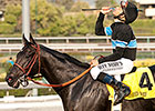 Pedigree Analysis: Shared Belief Pedigree Analysis: Shared Belief