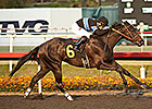 Shared Belief Puts CashCall Futurity in Bank Shared Belief Puts CashCall Futurity in Bank