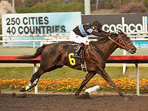 Shared Belief Looking Beyond Speedy Family Shared Belief Looking Beyond Speedy Family
