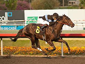 Tentative Derby Plan Set for Shared Belief Tentative Derby Plan Set for Shared Belief