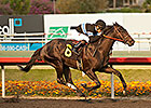Steve Haskin's Derby Dozen 2/3/2014 Steve Haskin's Derby Dozen 2/3/2014