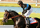 Top 3-Year-Olds Abound in BC Classic Top 3-Year-Olds Abound in BC Classic