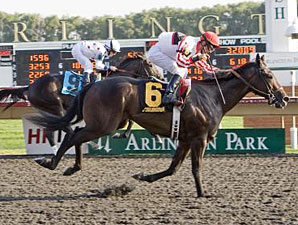 horse racing
