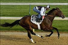 Sharp Humor Works Mile for Romans Sharp Humor Works Mile for Romans