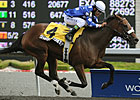 Duchess: Sharp Secretary in First Stakes Win Duchess: Sharp Secretary in First Stakes Win