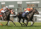 Sharp Sensation Edges Ben's Cat in 'Monster Sharp Sensation Edges Ben's Cat in 'Monster