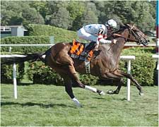 Sharp Susan Goes Gate-to-Wire in Lake Placid Sharp Susan Goes Gate-to-Wire in Lake Placid
