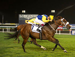 Shea Shea, Reckless Abandon Top King's Stand Shea Shea, Reckless Abandon Top King's Stand