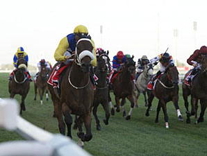 Record-Setter Shea Shea Heads Al Quoz Sprint Record-Setter Shea Shea Heads Al Quoz Sprint