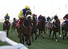 Record-Setter Shea Shea Heads Al Quoz Sprint