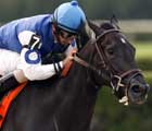 Sheets Gains First Grade With Top Effort in Azalea Sheets Gains First Grade With Top Effort in Azalea