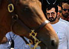 Saratoga Diary: Sheikh Track Saratoga Diary: Sheikh Track
