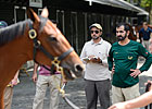 F-T Saratoga Select Sale Outlook Is Bright F-T Saratoga Select Sale Outlook Is Bright