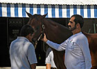 Champion Owner: Godolphin Racing Champion Owner: Godolphin Racing
