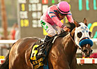 She's a Tiger Shows Stripes in Debutante Win She's a Tiger Shows Stripes in Debutante Win