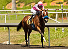 Seven Set for Sorrento; Gomez Has 3 Mounts Seven Set for Sorrento; Gomez Has 3 Mounts