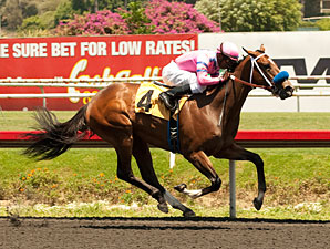 She's a Tiger, Alpine Luck Win at Hollywood She's a Tiger, Alpine Luck Win at Hollywood
