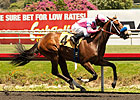 She's a Tiger, Alpine Luck Win at Hollywood She's a Tiger, Alpine Luck Win at Hollywood