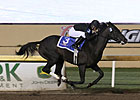She's All In Bows Out With Sparkling Victory She's All In Bows Out With Sparkling Victory