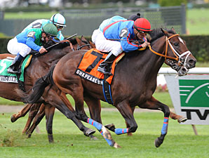 Alpha Odds-On Favorite in Count Fleet Alpha Odds-On Favorite in Count Fleet