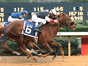 Grade I Winner Shotgun Gulch Injured, Retired Grade I Winner Shotgun Gulch Injured, Retired